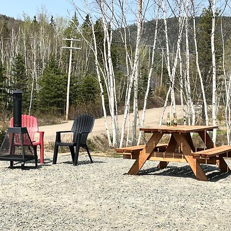 Appartement Mont Edouard, Hebergement Paisible A La Montagne LʼAnse-Saint-Jean Exteriör bild