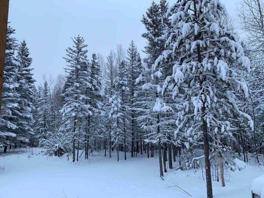 Appartement Mont Edouard, Hebergement Paisible A La Montagne LʼAnse-Saint-Jean Exteriör bild