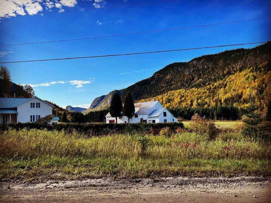 Appartement Mont Edouard, Hebergement Paisible A La Montagne LʼAnse-Saint-Jean Exteriör bild