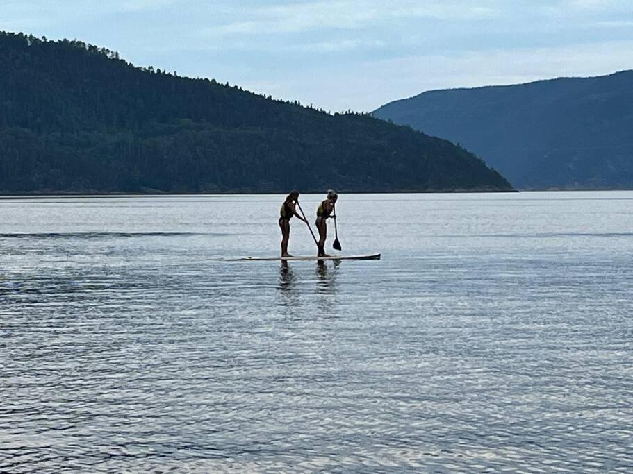 Appartement Mont Edouard, Hebergement Paisible A La Montagne LʼAnse-Saint-Jean Exteriör bild