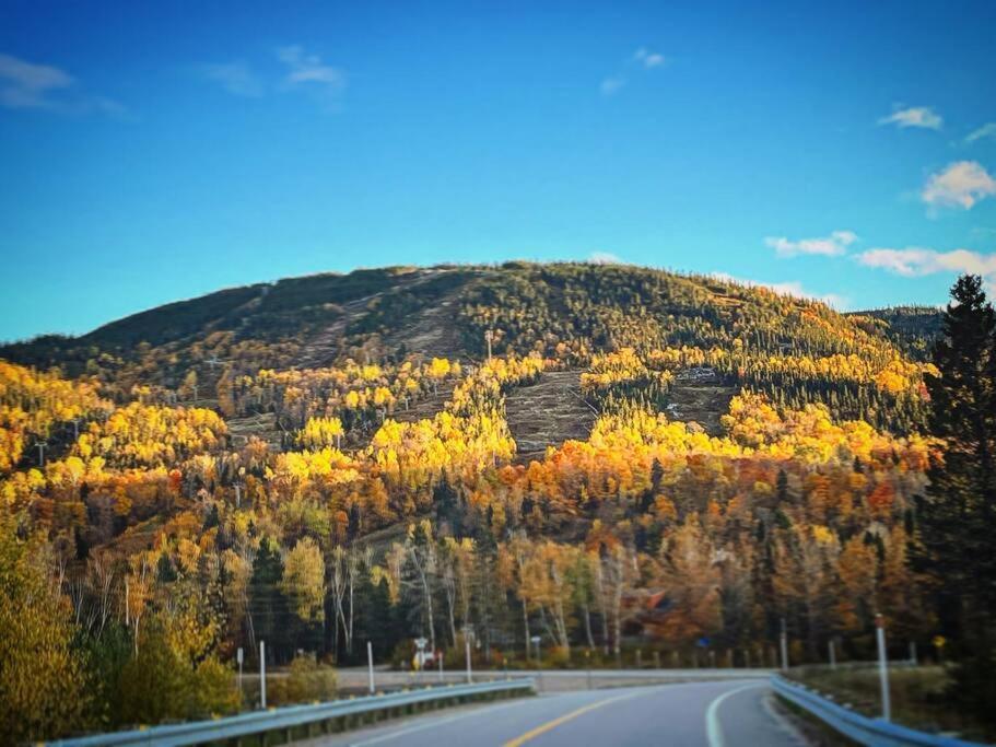 Appartement Mont Edouard, Hebergement Paisible A La Montagne LʼAnse-Saint-Jean Exteriör bild