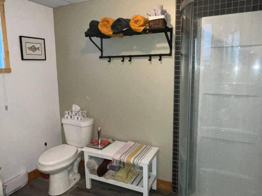 Appartement Mont Edouard, Hebergement Paisible A La Montagne LʼAnse-Saint-Jean Exteriör bild