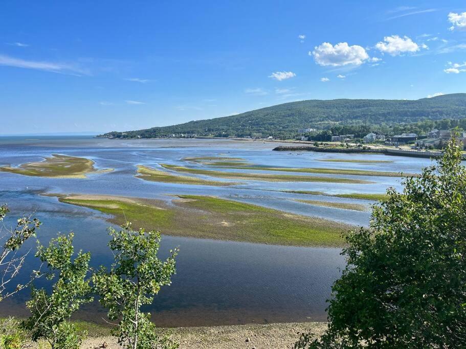 Appartement Mont Edouard, Hebergement Paisible A La Montagne LʼAnse-Saint-Jean Exteriör bild
