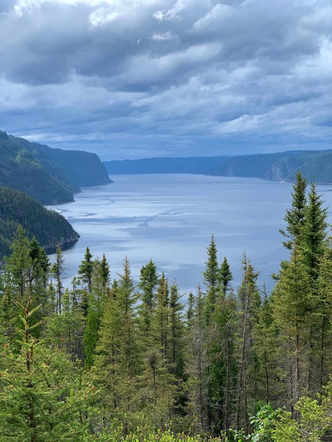 Appartement Mont Edouard, Hebergement Paisible A La Montagne LʼAnse-Saint-Jean Exteriör bild