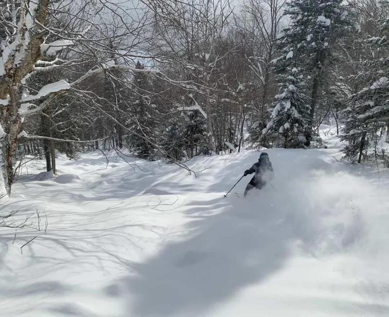 Appartement Mont Edouard, Hebergement Paisible A La Montagne LʼAnse-Saint-Jean Exteriör bild
